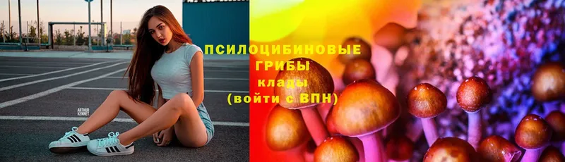 Галлюциногенные грибы ЛСД  хочу наркоту  Гай 